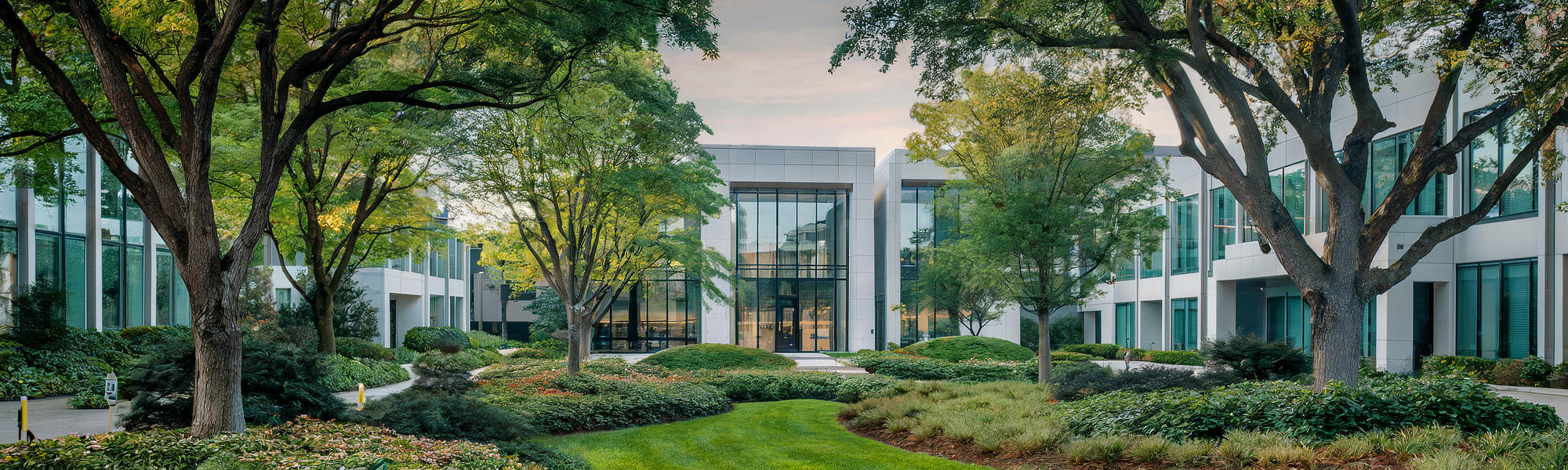 Solutions to Address Tree Loss