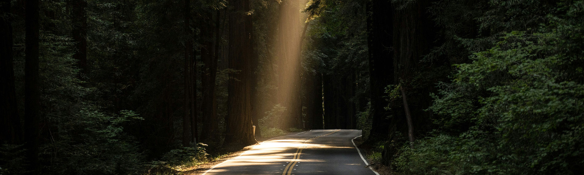 Photo by JOHN TOWNER on Unsplash